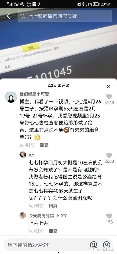 娱乐精神博主吃瓜,吃瓜博主带你领略明星幕后故事