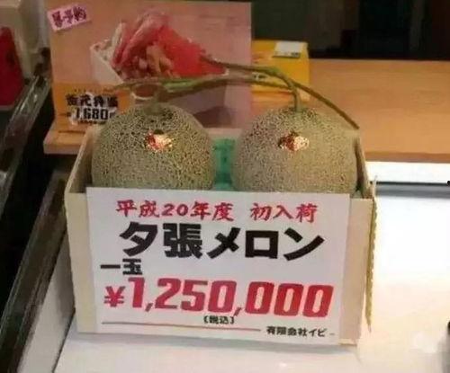 娱乐区吃大瓜,明星隐私曝光，精彩瞬间回顾