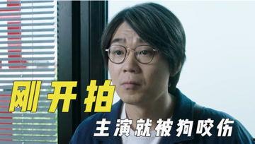 娱乐吃瓜君改名,揭秘明星幕后故事