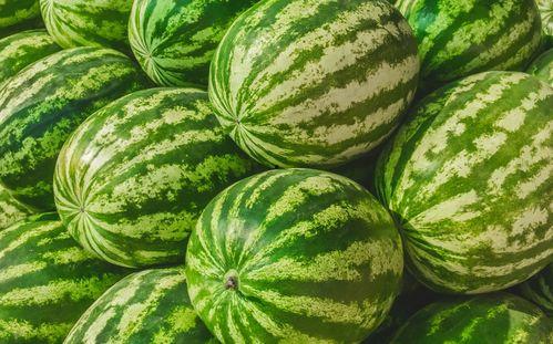 吃瓜大赛每日聚集地,揭秘吃瓜大赛每日聚集地的热门焦点