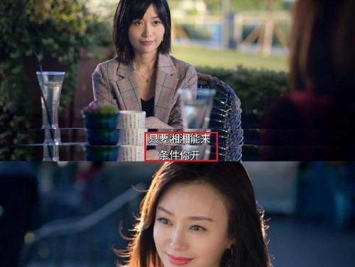 娱乐圈吃瓜巧合小说推荐,意外巧合下的瓜田奇缘