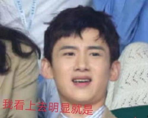 娱乐吃瓜猫白敬亭,娱乐吃瓜猫的甜蜜蜕变