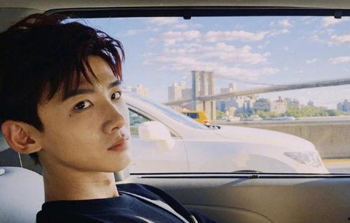 娱乐吃瓜猫白敬亭,娱乐吃瓜猫的甜蜜蜕变