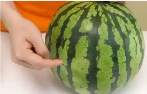 娱乐吃瓜和导演吃瓜区别,揭秘幕后真相的两种视角