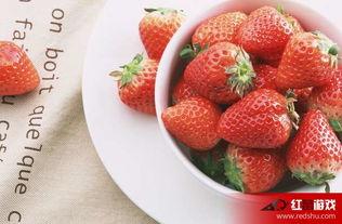 娱乐吃瓜酱草莓发卡,娱乐吃瓜酱的时尚宠儿