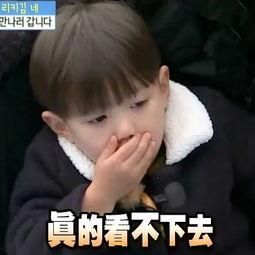 路人甲在娱乐圈吃瓜的小说推荐,揭秘明星背后的秘密与八卦风云